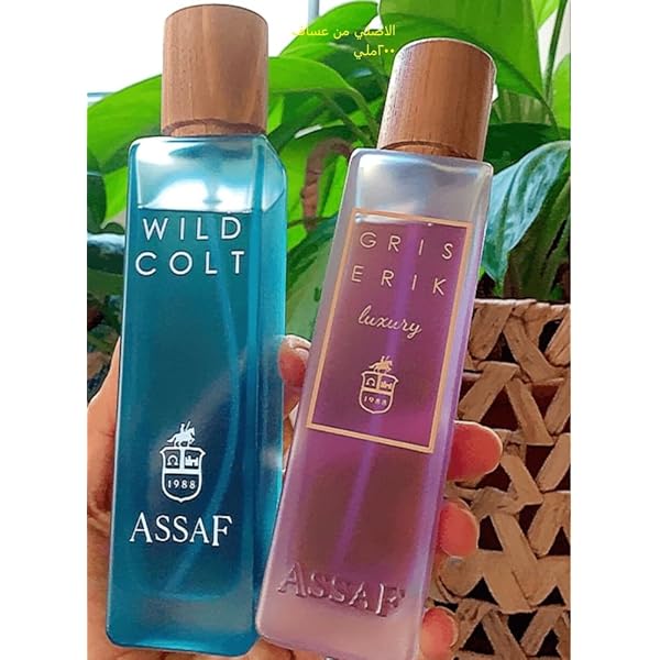 Assaf Wild Cold + Gris Erik