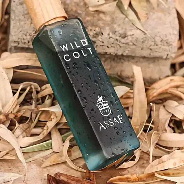 Assaf Wild Cold + Gris Erik